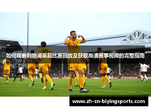 如何观看利物浦英超比赛回放及获取高清赛事视频的完整指南
