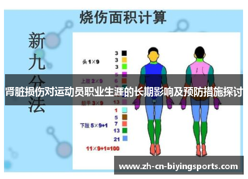 肾脏损伤对运动员职业生涯的长期影响及预防措施探讨
