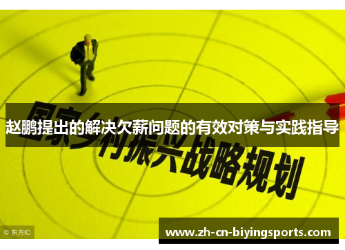 赵鹏提出的解决欠薪问题的有效对策与实践指导