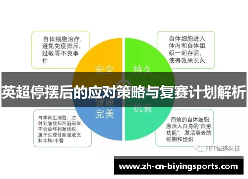 英超停摆后的应对策略与复赛计划解析
